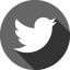 Logo Twitter